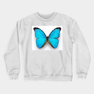 Cramer's blue butterfly (C010/8389) Crewneck Sweatshirt